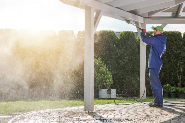 Best Animal Enclosure Cleaning  in Brighton, TN