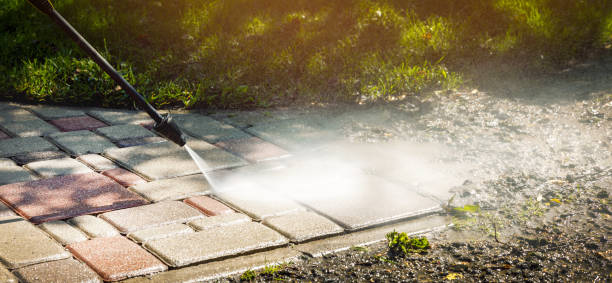 Best Gutter Cleaning  in Brighton, TN
